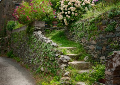 Photo shows a rustic looking stone staircase being engulfed by vegetation as it rises up the hillside, a short walk to the stone house above it that appear to touch the sky.