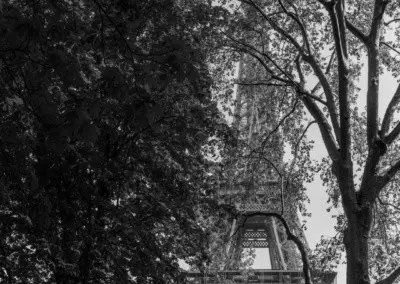 Photos shows the Eiffel Tower dwarfing the nearby tall trees.
