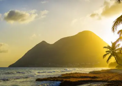 Photo shows the sun backlogging coconut trees and a mountain rising from the ocean beyond the yellow sun drenched beach on the island of Martinique.
