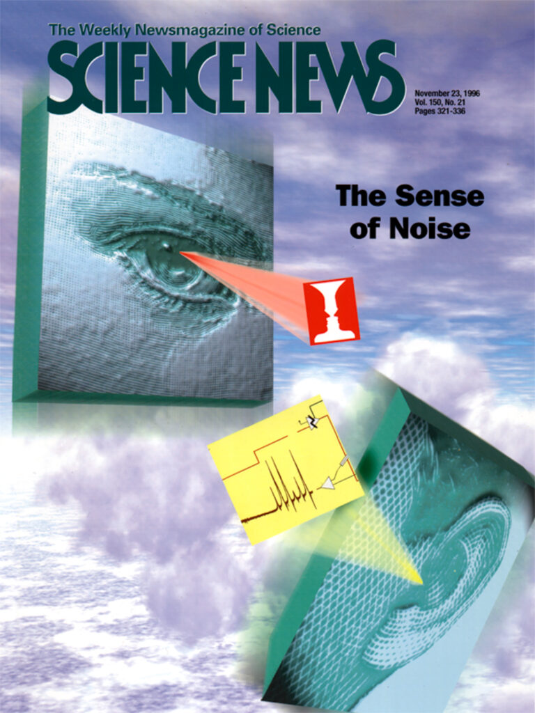 11-96 Senses