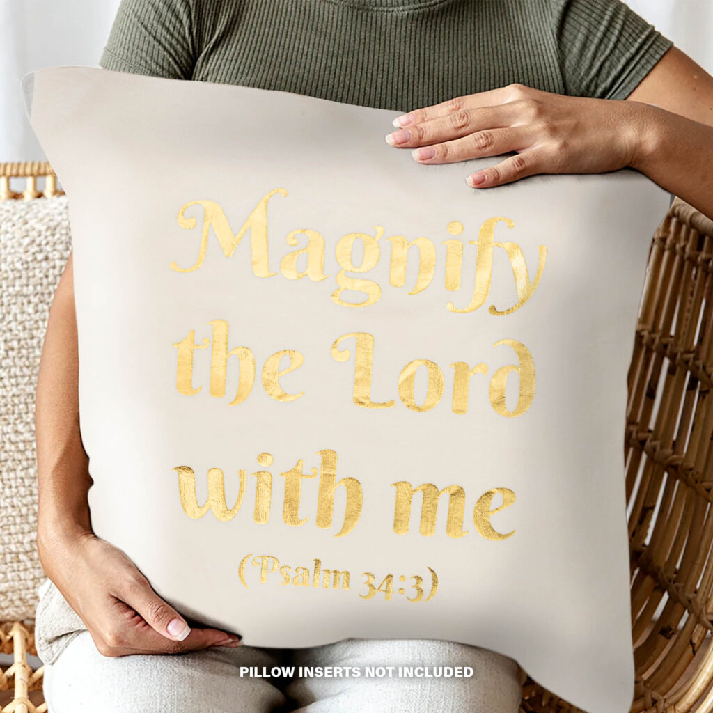 Pillow-Covers9