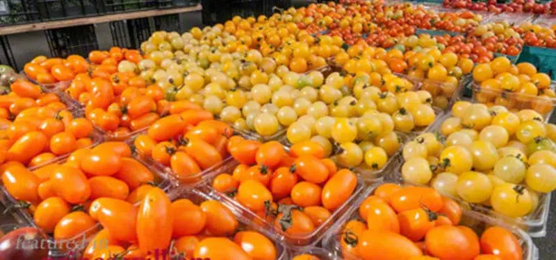 Photo shows orange, yellow, and red tomatoes in bins at the Dale City Farmers Market